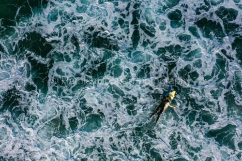 Surfs Up